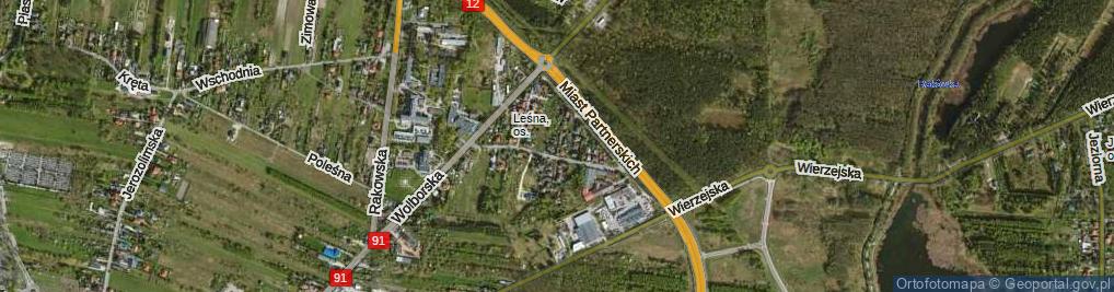 Zdjęcie satelitarne Borsucza ul.